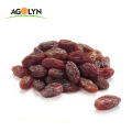 Pure natural jumbo Red dried seedless raisin for wholesale
Delicious  jumbo dried raisin